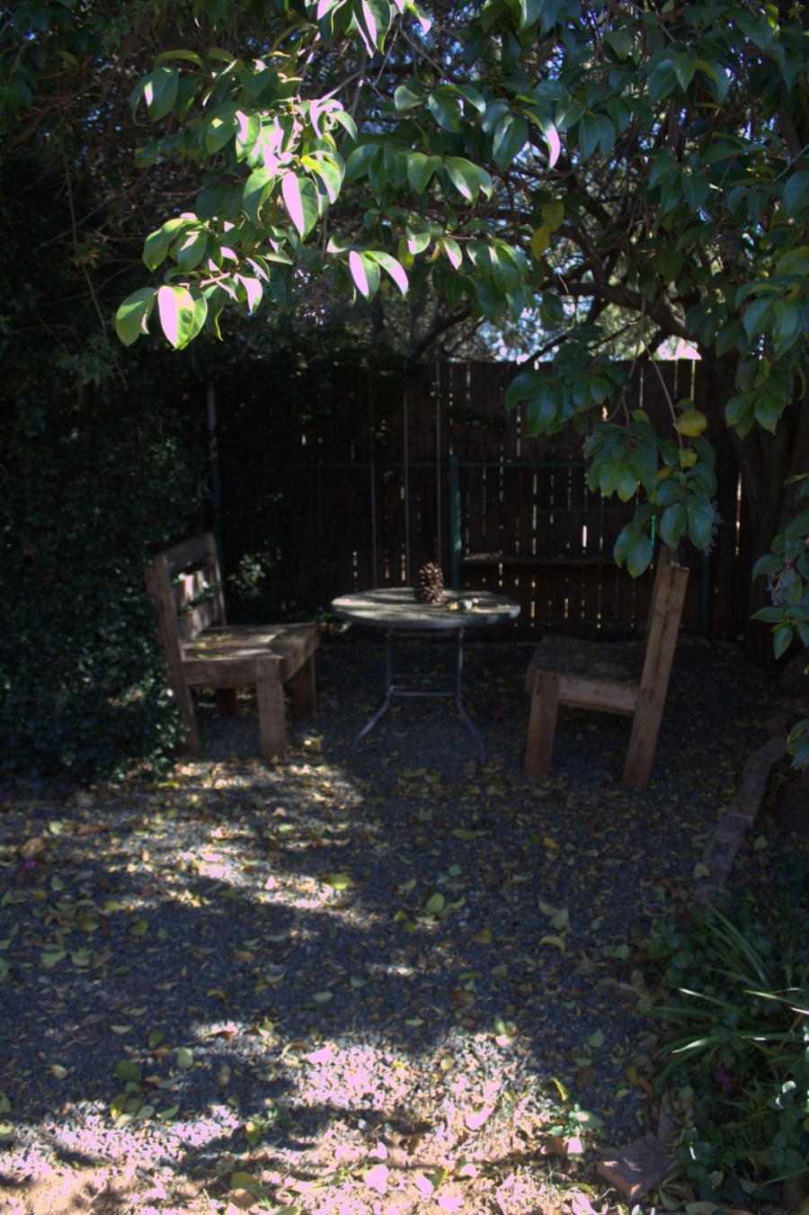 3 Bedroom Property for Sale in Fichardt Park Free State